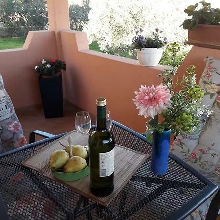 Apartman Amfiteatar Apartment Pula